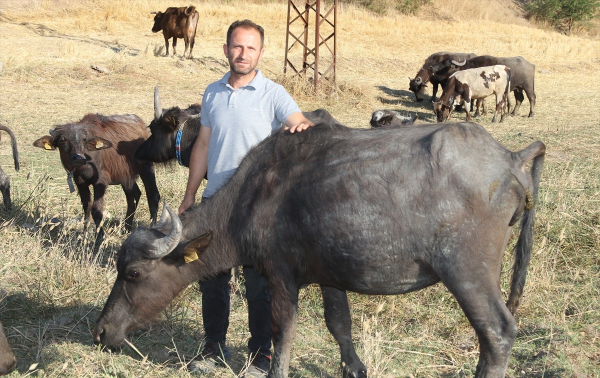 Amasya'nın Taşova ilçesinde yaşayan 41 yaşındaki Veysel ile 39 yaşındaki eşi Azize Özkan...
