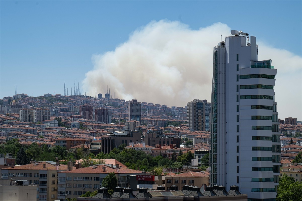 Ankara'da Eymir gölü çevresindeki ormanlık alanda yangın çıktı