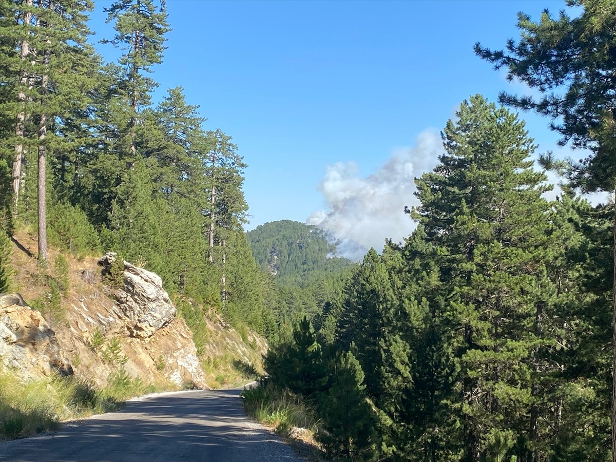 Antalya'nın Alanya ilçesinde, Söğüt yaylasındaki ormanlık alanda çıkan yangına müdahale...
