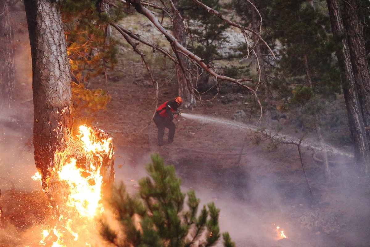 Antalya'nın Alanya ve Gazipaşa ilçelerindeki yangınlara havadan ve karadan müdahale devam...