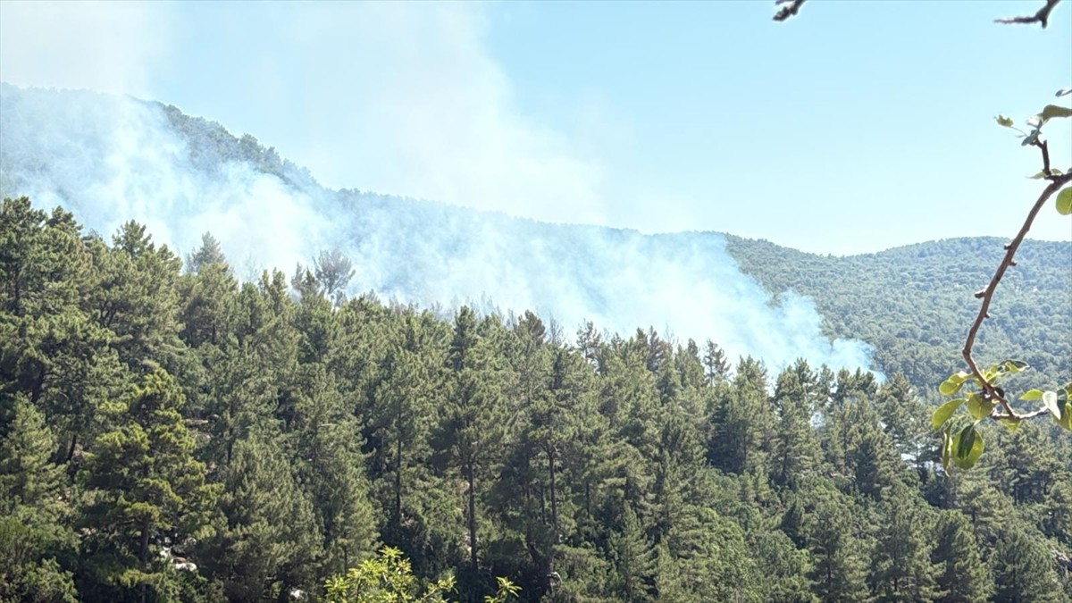 Antalya'nın Kaş ilçesinde ormanlık alanda çıkan yangına havadan ve karadan müdahale...