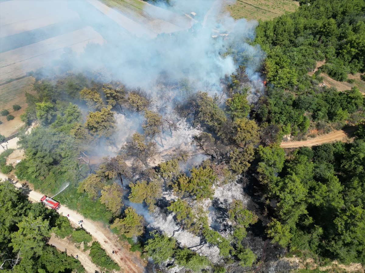 Antalya'nın Manavgat ilçesinde çıkan orman yangını havadan ve karadan müdahaleyle kontrol altına...