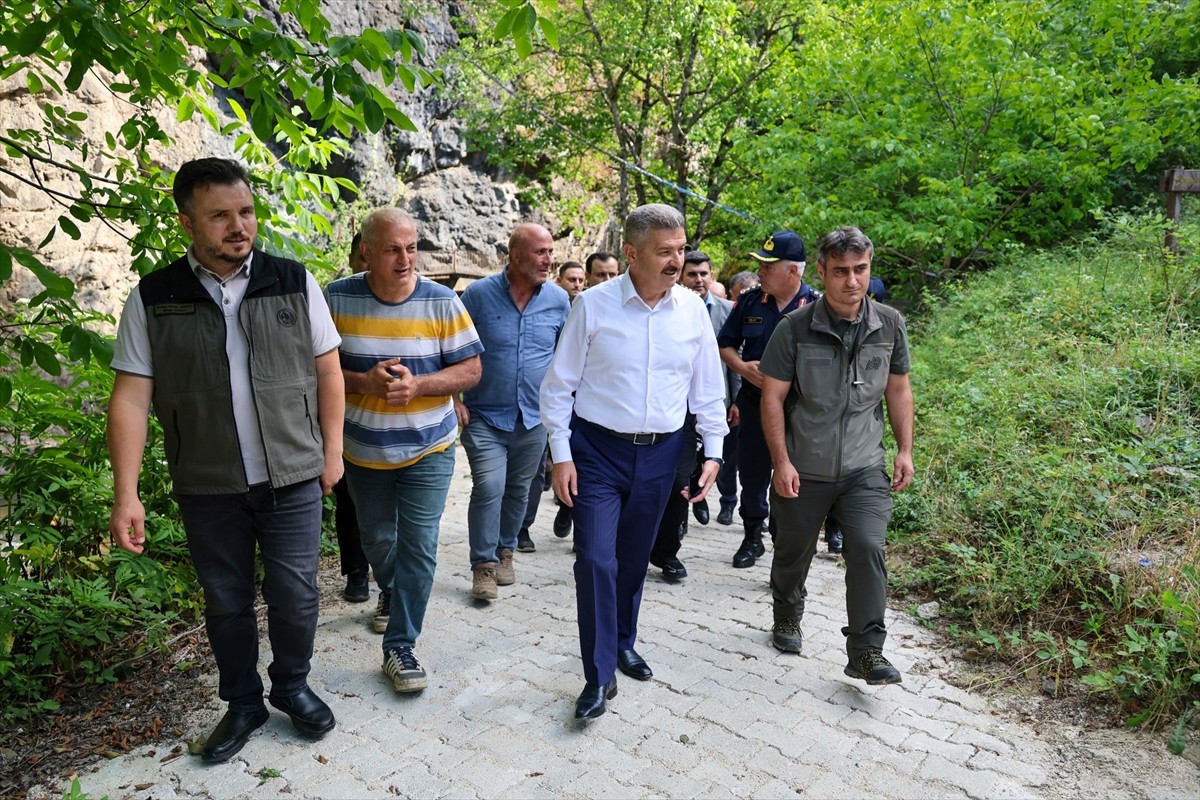 Artvin'de Hatila Vadisi Milli Parkı içindeki dereye 5 bin kırmızı benekli alabalık yavrusu...