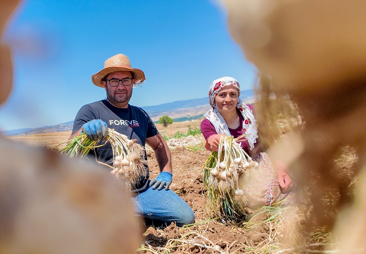 Avrupa Birliği'nden (AB) ve Türkiye'den coğrafi işaret tescili alan, aroması ve kalitesiyle dünya...