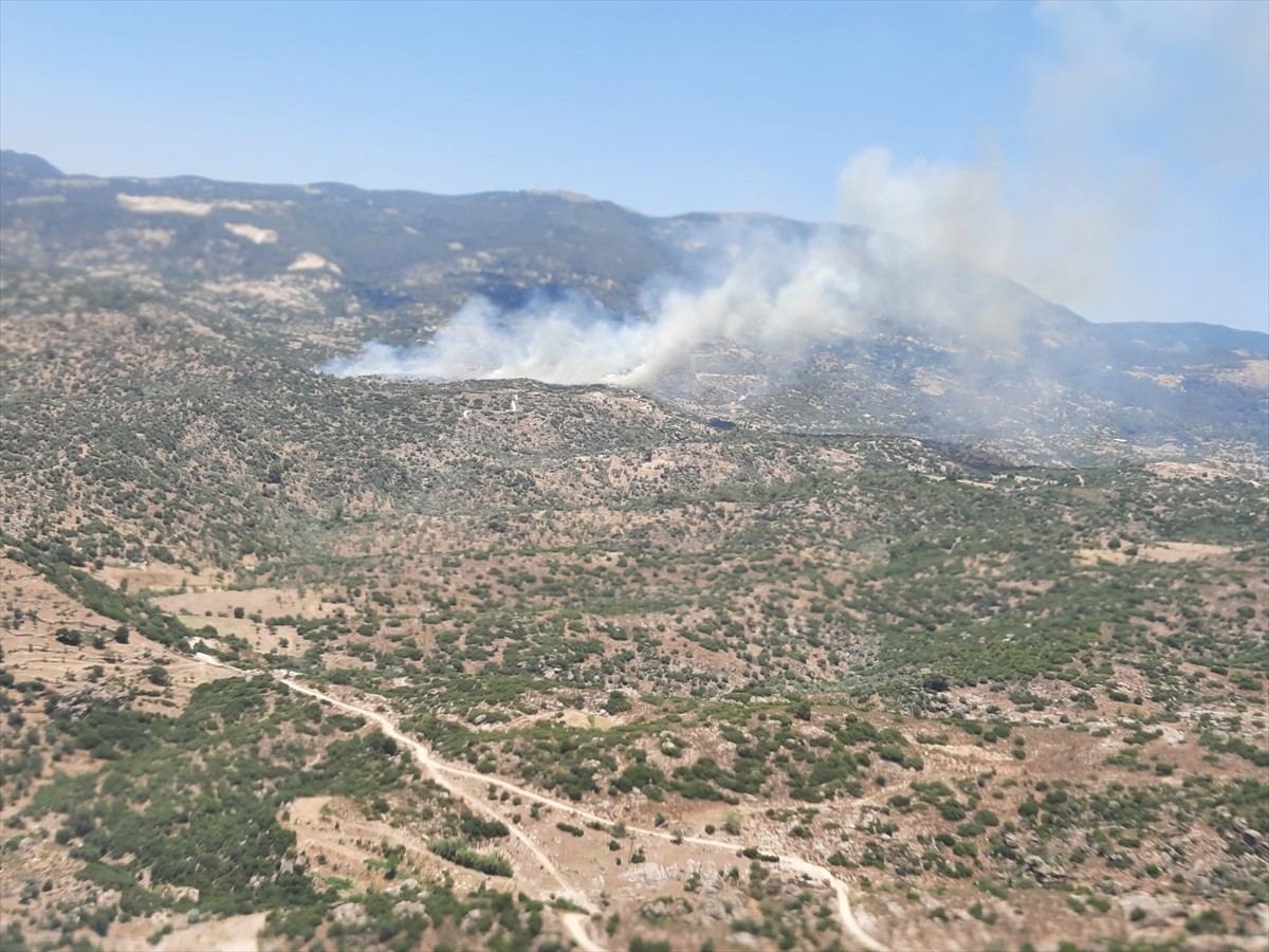  Aydın'ın Çine ilçesinde ziraat alanı ve makilikte çıkan yangına havadan ve karadan müdahale...