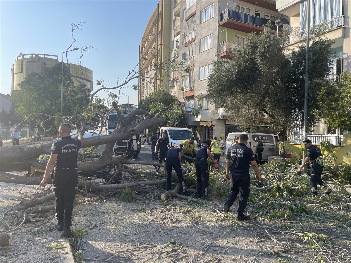 Aydın'ın Efeler ilçesinde ağacın devrilmesi sonucu 2 otomobil zarar gördü. Ekipler, devrilen...