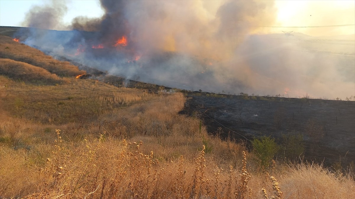 Balıkesir'in Bandırma ilçesinde çıkan arazi yangını kontrol altına alınmaya...