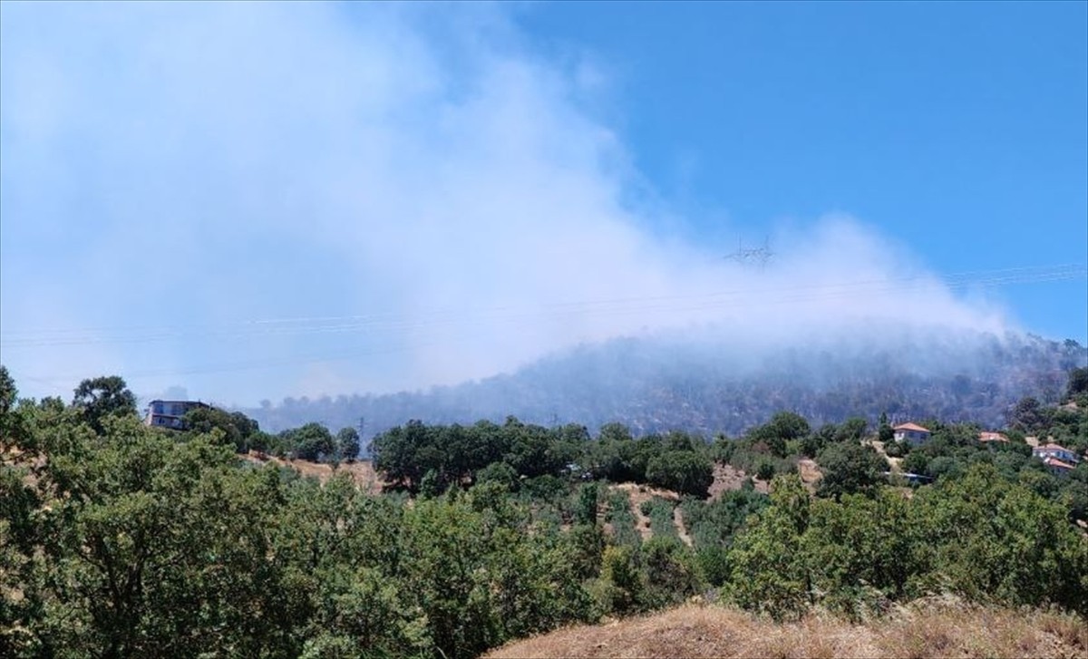 Balıkesir'in Savaştepe ilçesinde çıkan orman yangını söndürülmeye çalışılıyor.