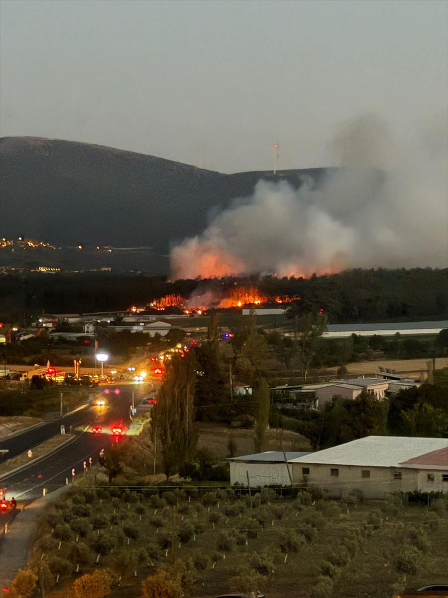 Balıkesir'in Savaştepe ilçesinde, tavuk çiftliğinde başlayıp ormanlık alana sıçrayan yangına...