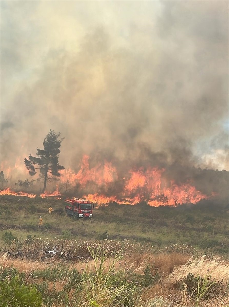 Bilecik'in Vezirhan beldesinde çıkan orman yangını havadan ve karadan müdahaleyle kontrol altına...