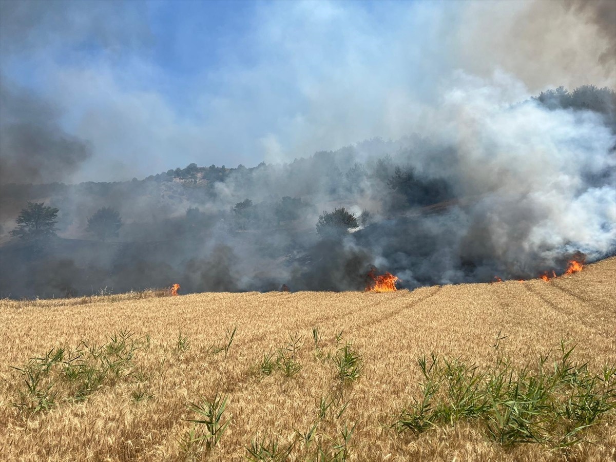 Bilecik'te Gölpazarı-Yenipazar kara yolunun Taşınburnu mevkisi yakınlarındaki tarımsal arazide...