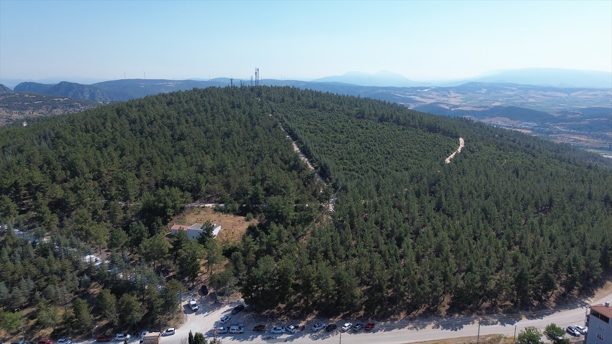 Bilecik Belediyesi tarafından orman yangınlarını önlemek ve toplumsal farkındalığı artırmak...
