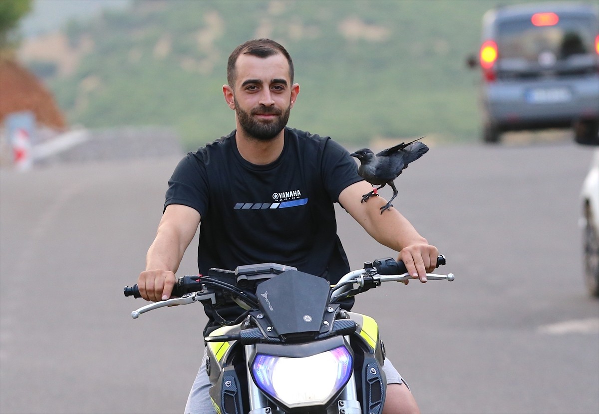 Bingöl'de motosiklet teknisyeni Mesut Aksoy'un, ölmek üzereyken ilgilenip sahiplendiği ve "Şimşek"...