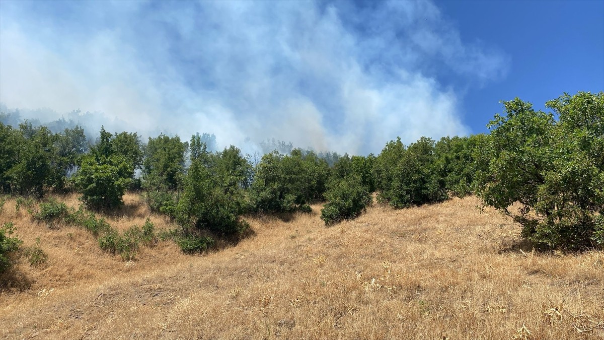 Bingöl'de ormanlık alanda çıkan yangın kontrol altına alındı.