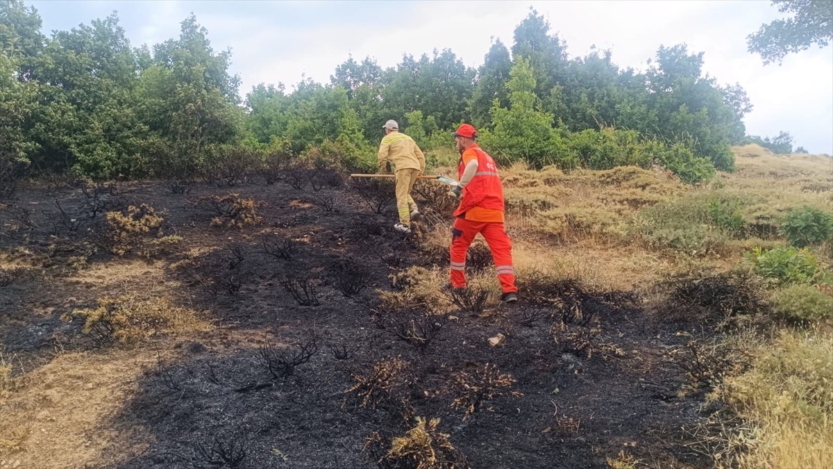  Bingöl'de ormanlık alanlarda çıkan yangın, ekiplerin müdahalesiyle söndürüldü.