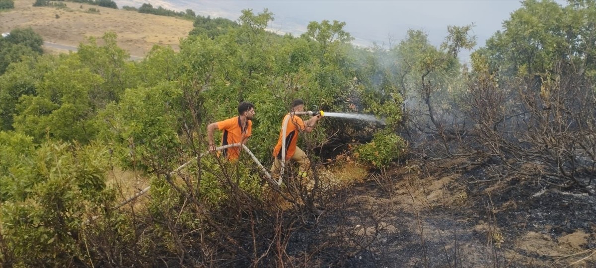  Bingöl'de ormanlık alanlarda çıkan yangın, ekiplerin müdahalesiyle söndürüldü.