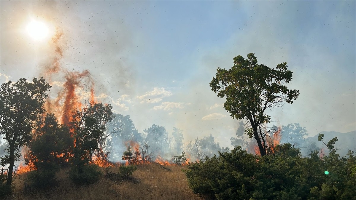 Bingöl'ün Genç ilçesine bağlı Yaydere, Solhan ilçesindeki Kırık ve merkeze bağlı Kardeşler...