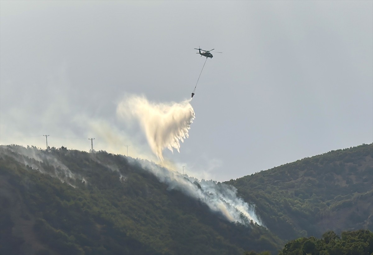 Bingöl'ün merkeze bağlı Göltepesi köyü ile Genç ilçesindeki ormanlık alanlarda çıkan yangınlara...