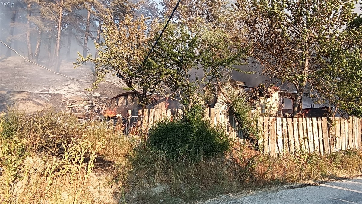 Bolu’nun Mudurnu ilçesinde çıkan orman yangınına, havadan ve karadan müdahale ediliyor.