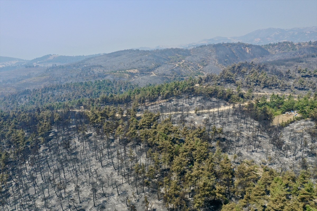 Bursa'nın Gürsu ve Kestel ilçeleri arasındaki orman yangını 3. gününde kontrol altına alınmaya...