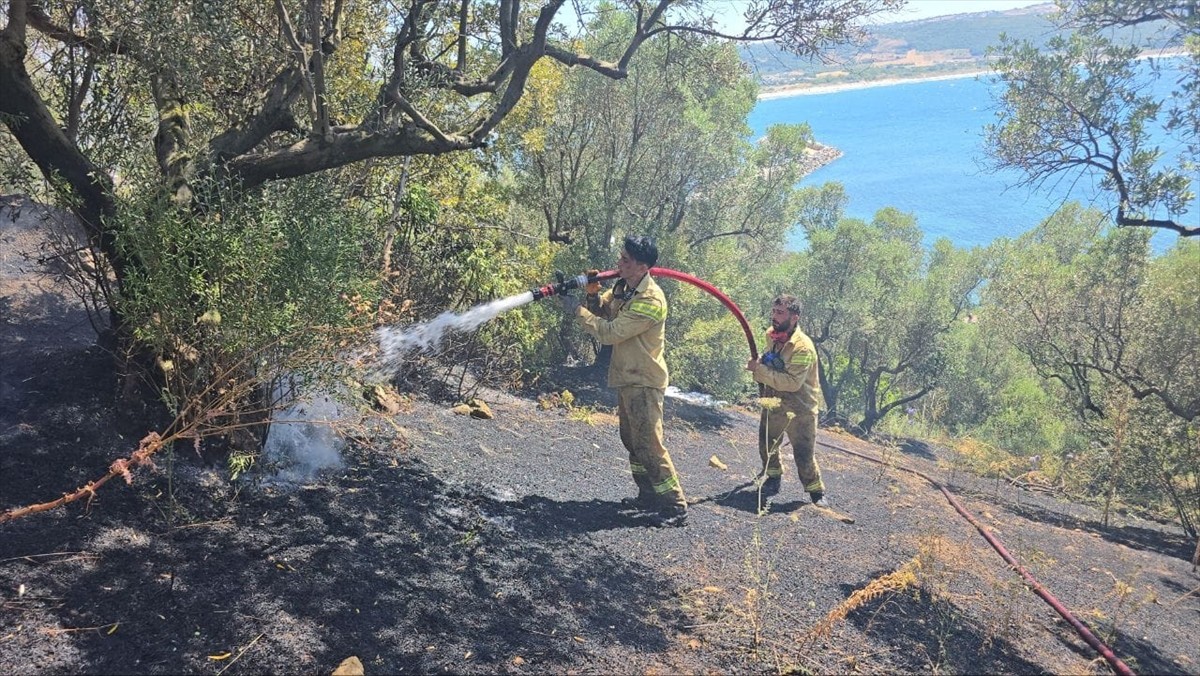 Bursa'nın Mudanya ilçesinde zeytinlikte çıkan yangın ekiplerin zamanında müdahalesiyle büyümeden...