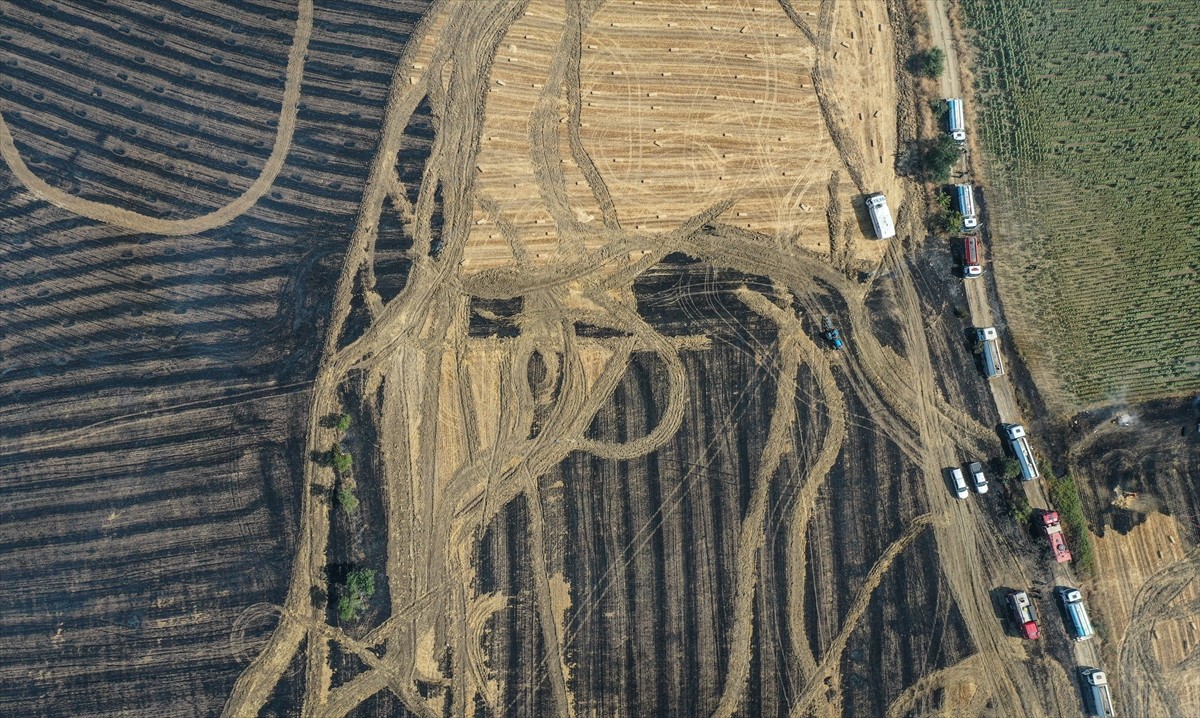 Bursa'nın Nilüfer ilçesinde arazide başlayan yangın ormana sıçramadan kontrol altına...