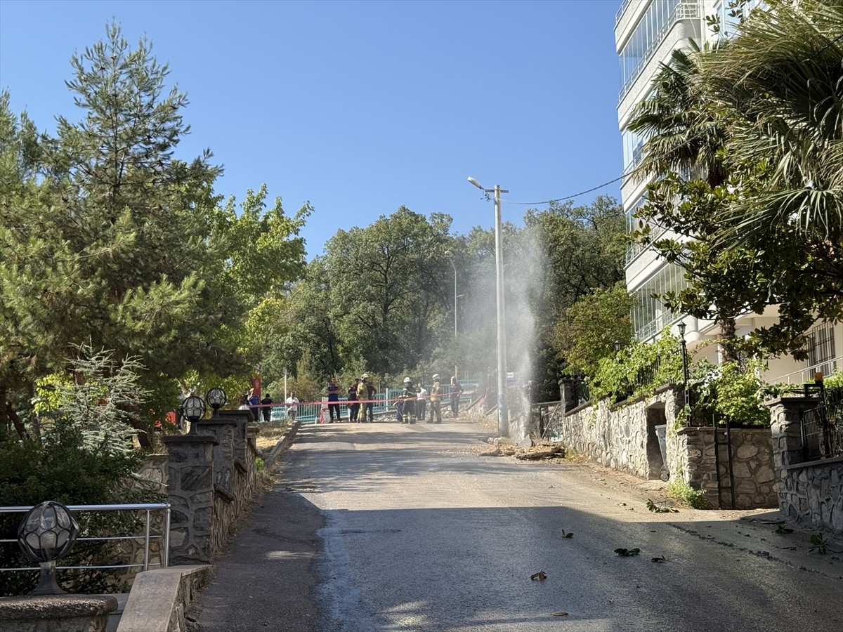 Bursa'nın Nilüfer ilçesinde, iş makinesinin doğal gaz boru hattını patlatması sonucu 3 kişi...