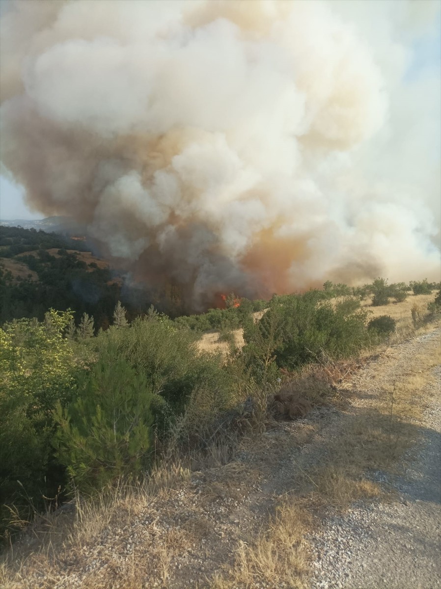 Bursa-Balıkesir sınırında çıkan orman yangınına müdahale ediliyor.