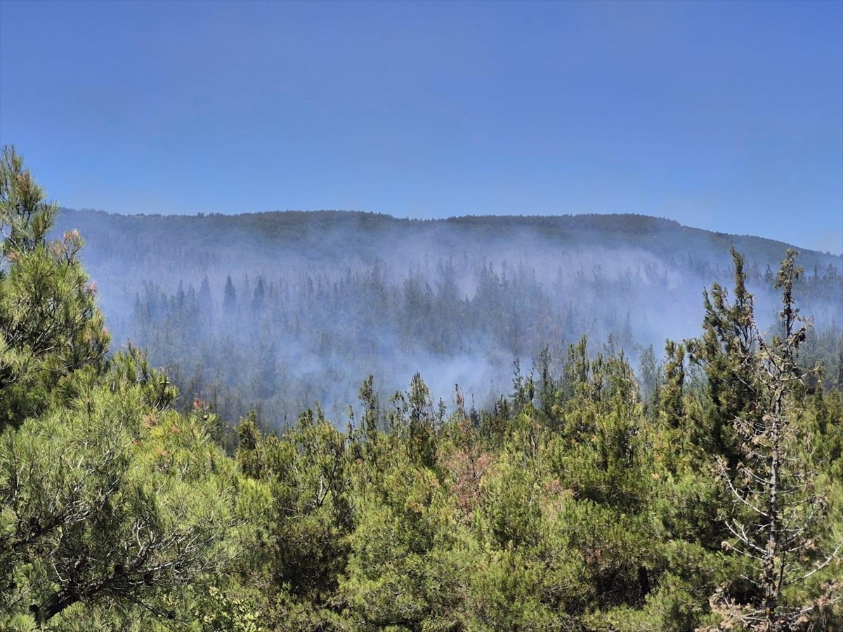 Çanakkale'nin Lapseki ilçesinde tarım arazisinden ormanlık alana sıçrayan yangına havadan ve...
