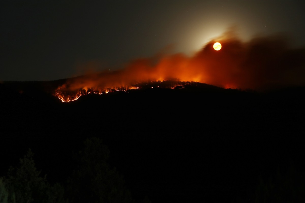 Çankırı'nın Ilgaz ilçesinde 4 gün önce yanan ormanlık alanda yeniden yangın çıktı.