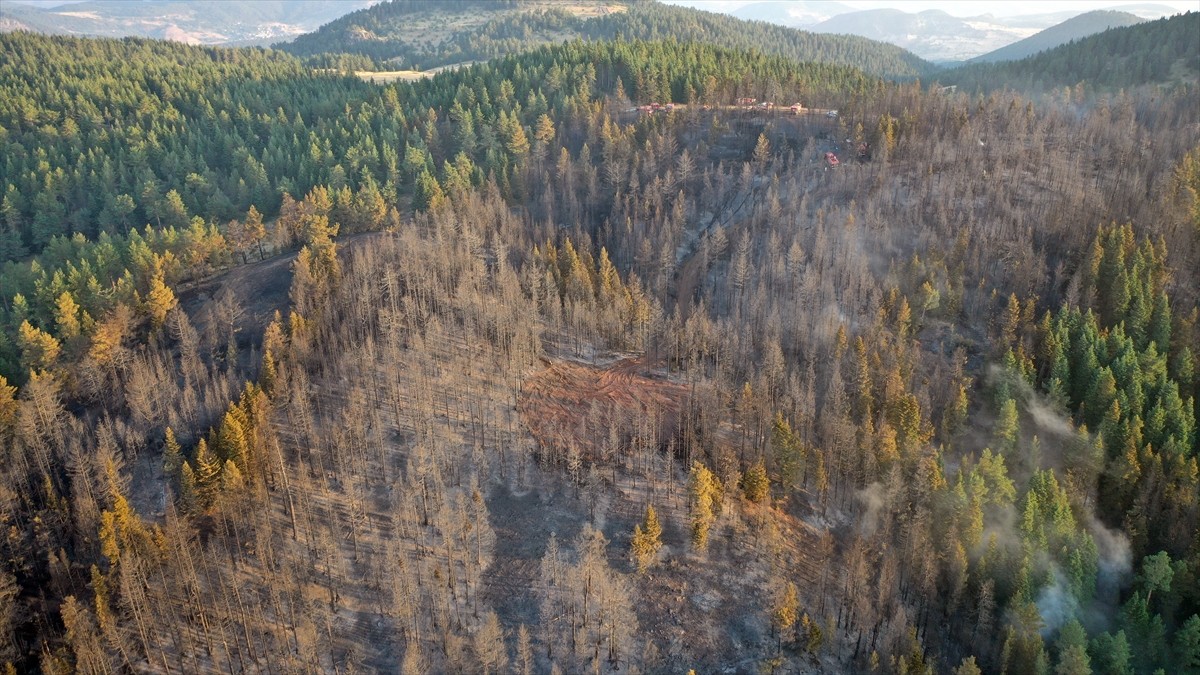 Çankırı'nın Yapraklı ilçesinde havadan ve karadan müdahale ile kontrol altına alınan yangında...