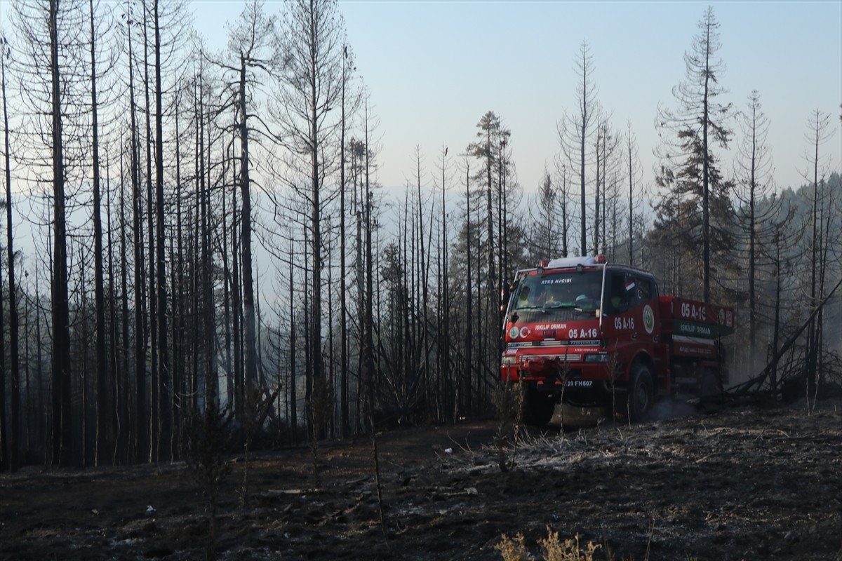 Çankırı'nın Yapraklı ilçesinde ormanlık alanda çıkan yangına müdahale ediliyor.
