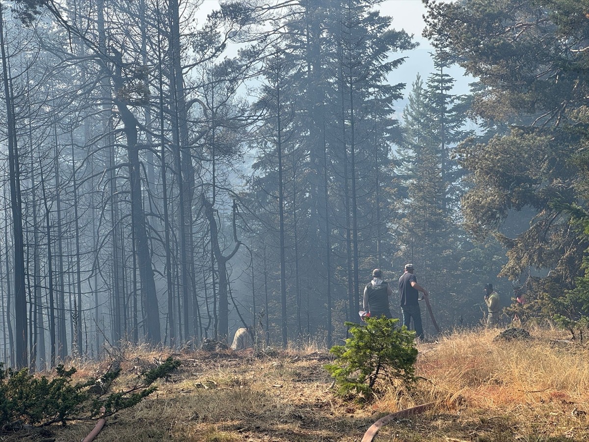 Çankırı'nın Yapraklı ilçesinde ormanlık alanda çıkan yangına müdahale ediliyor.