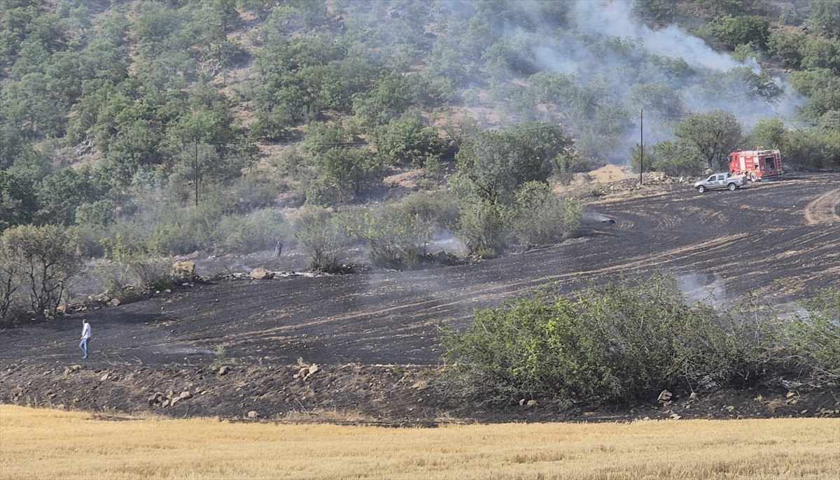 Çorum'un Bayat ilçesinde ormanlık alana sıçrayan anız yangını söndürüldü.