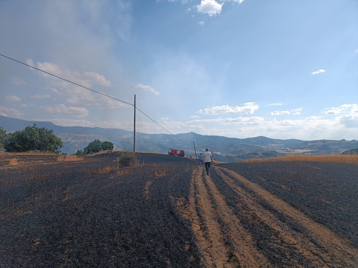 Çorum'un Uğurludağ ilçesinde ekili alanda çıkan yangın itfaiye tarafından söndürüldü. Yangında...