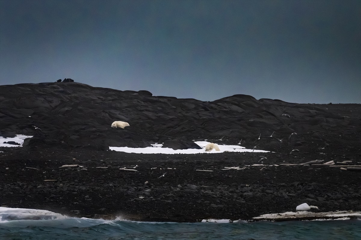Cumhurbaşkanlığı himayesinde, Sanayi ve Teknoloji Bakanlığı uhdesinde, TÜBİTAK MAM Kutup...