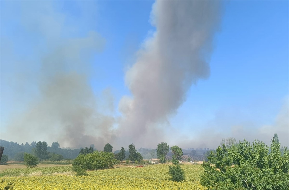 Edirne'nin Keşan ilçesinde çıkan orman yangınına havadan ve karadan müdahale ediliyor. 