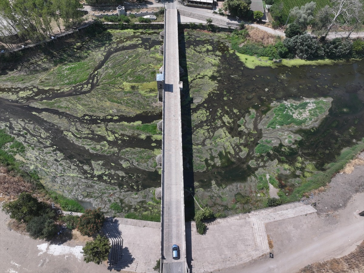 Edirne'nin önemli su kaynaklarından Tunca Nehri'nde, kuraklık ve aşırı sıcaklara bağlı...
