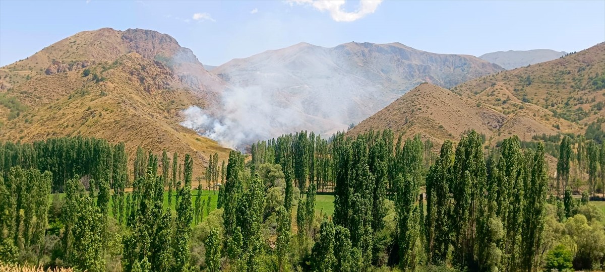 Erzurum'un Oltu ilçesinde çıkan örtü yangını ekiplerin müdahalesiyle söndürüldü.