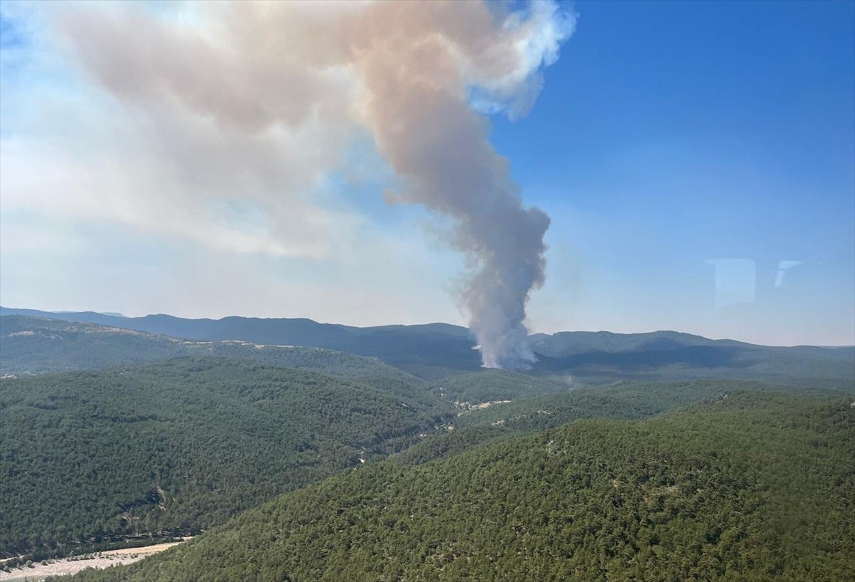 Eskişehir'in Seyitgazi ilçesinde çıkan orman yangınına havadan ve karadan müdahale ediliyor.