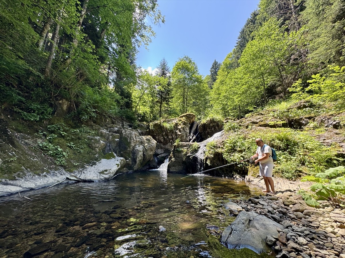Giresun'da Paşakonağı Yaylası'nda akarsular doğa tutkunlarına güzel manzaraları keşfetme imkanı...