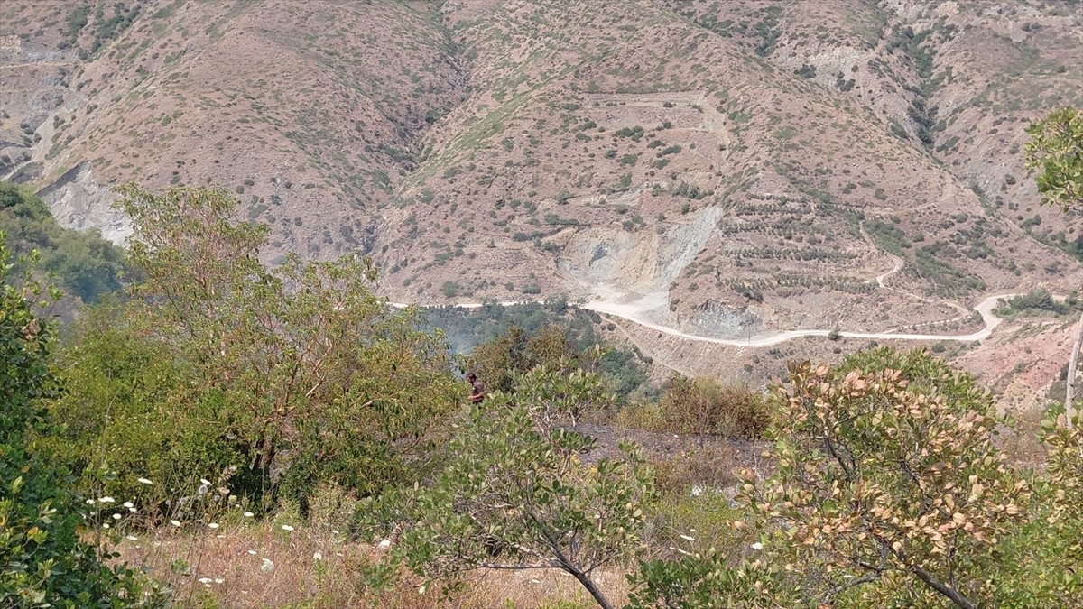 Hatay'ın Samandağ ilçesinde makilik alanda çıkan yangın ekiplerin müdahalesiyle...