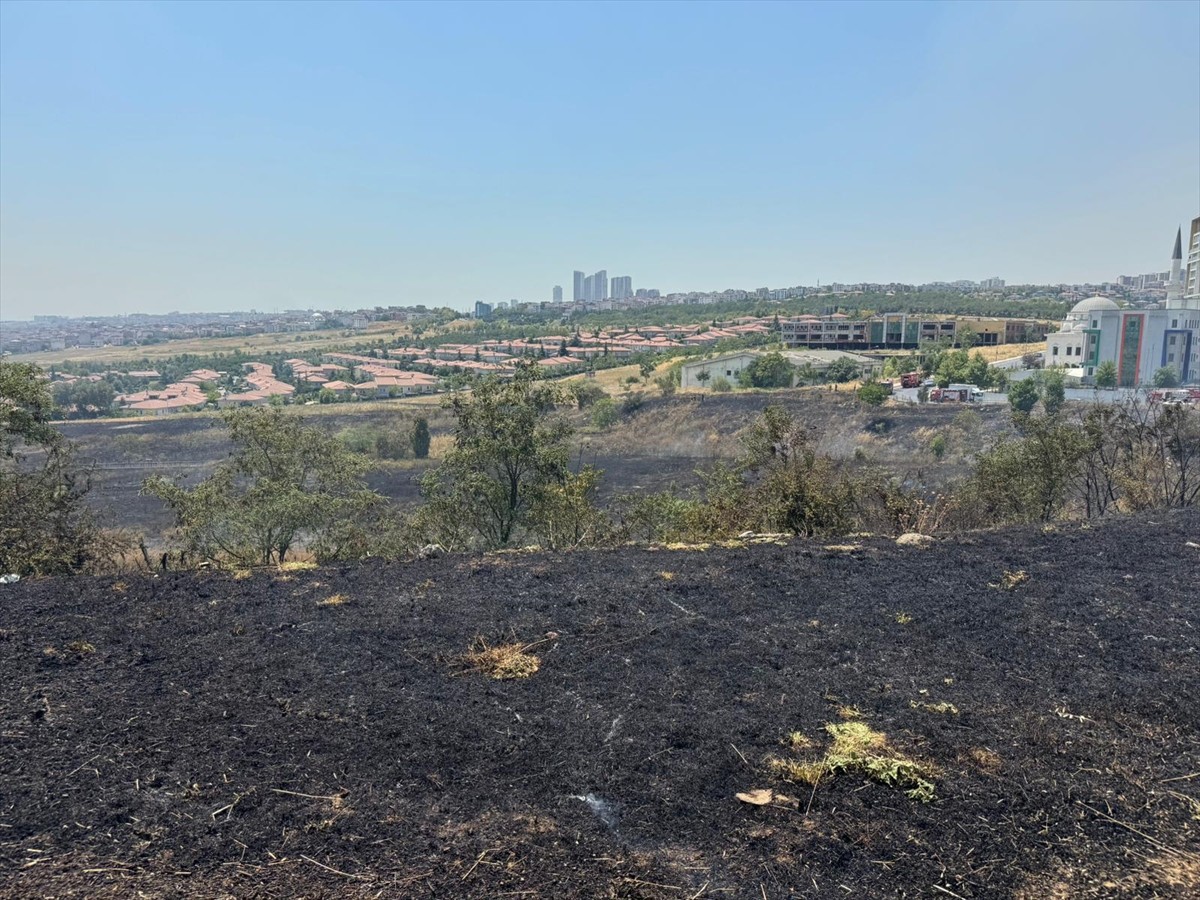 İstanbul'da, TEM Otoyolunun Bahçeşehir mevkisinde otluk alanda çıkan yangın itfaiye ekiplerince...