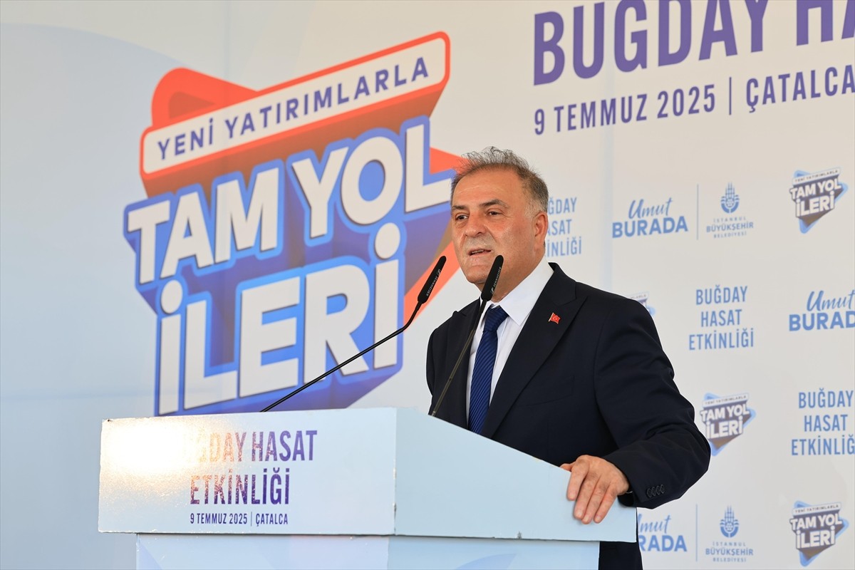 İstanbul Büyükşehir Belediyesince (İBB), Çatalca'nın Çanakça köyünde "Buğday Hasat Etkinliği"...