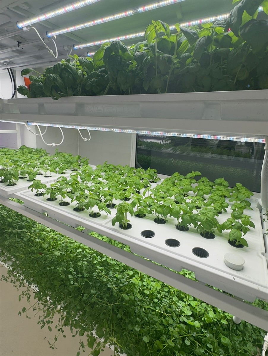 İstanbul İl Tarım ve Orman Müdürlüğüne bağlı olarak, Kağıthane Belediyesi Kültür Merkezi’nin...