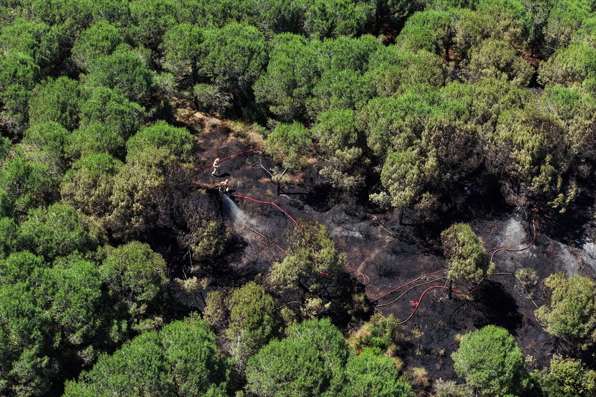  İstanbul Sultangazi'de bir ormanda çıkan yangına itfaiye ekipleri müdahale ediyor.