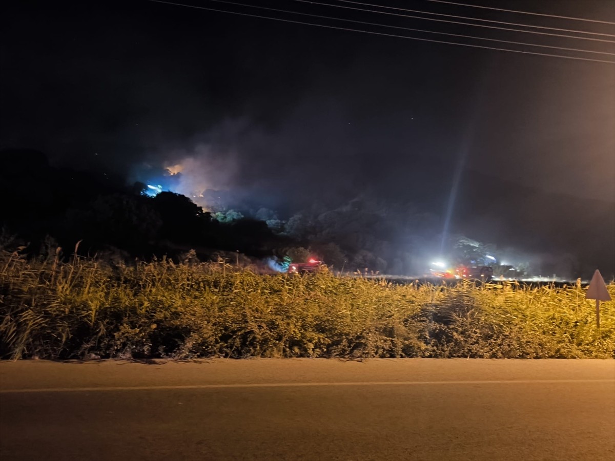 İzmir'in Dikili ilçesinde çöplükte çıkan ve makilik alana sıçrayan yangına müdahale...