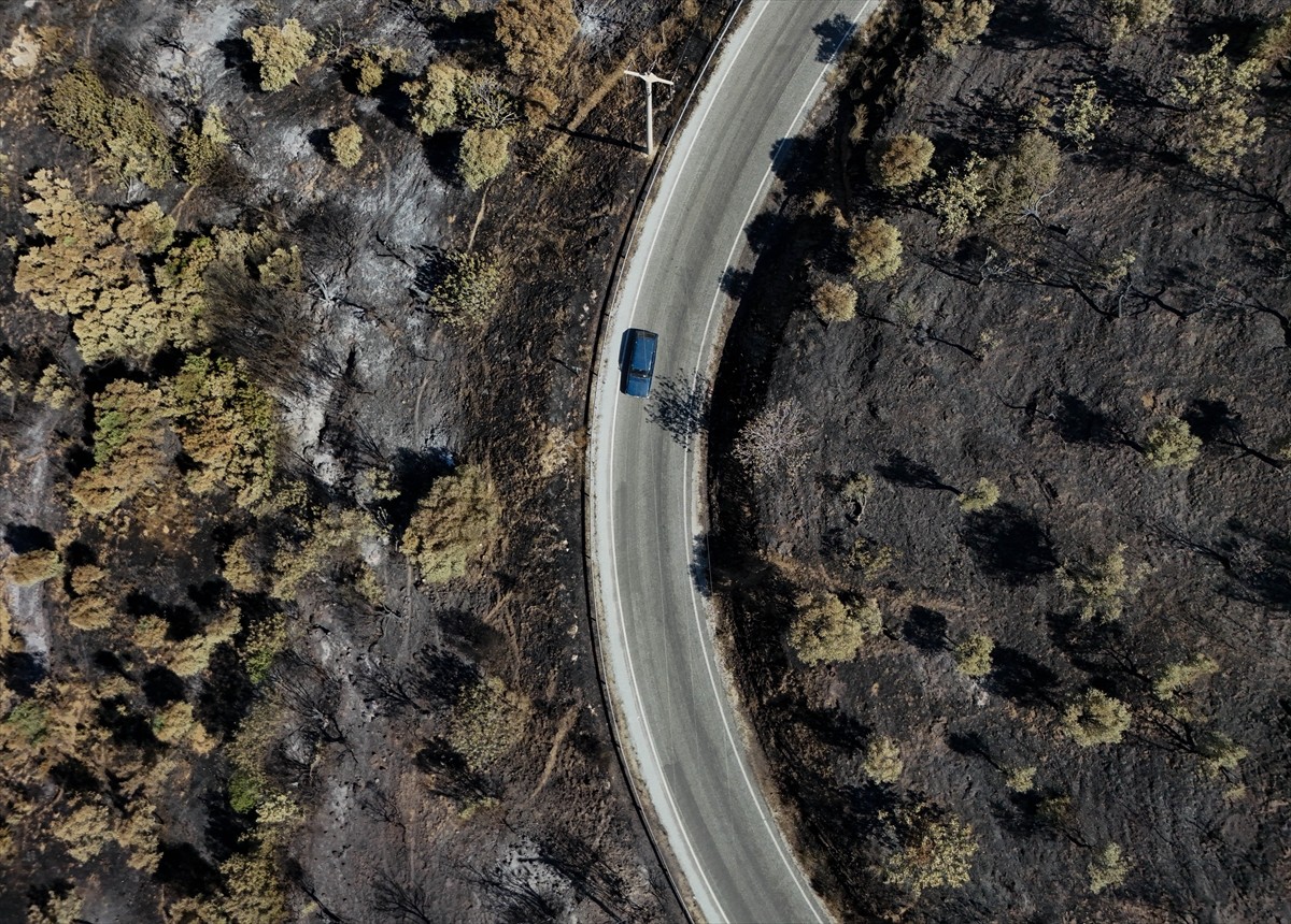 İzmir'in Ödemiş ilçesinde, rüzgarın etkisiyle geniş alana yayılan ancak ekiplerin yoğun...