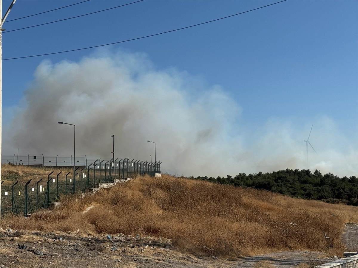 İzmir'in Urla ilçesindeki ormanlık alanda çıkan yangınına ekipler tarafından havadan ve karadan...