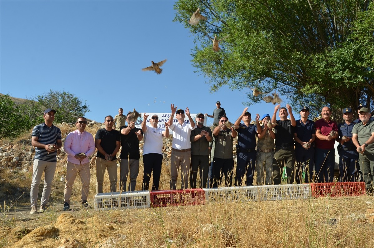 Kahramanmaraş'ın Afşin ilçesinde, doğayı koruma ve yaban hayatını desteklemek amacıyla 200 keklik...